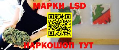 ПСИЛОЦИБИНОВЫЕ ГРИБЫ Аргун
