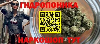 ПСИЛОЦИБИНОВЫЕ ГРИБЫ Аргун
