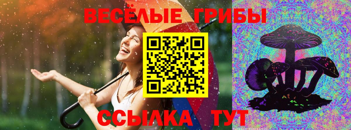 Галлюциногенные грибы Cubensis  Вход с VPN  Боровичи 