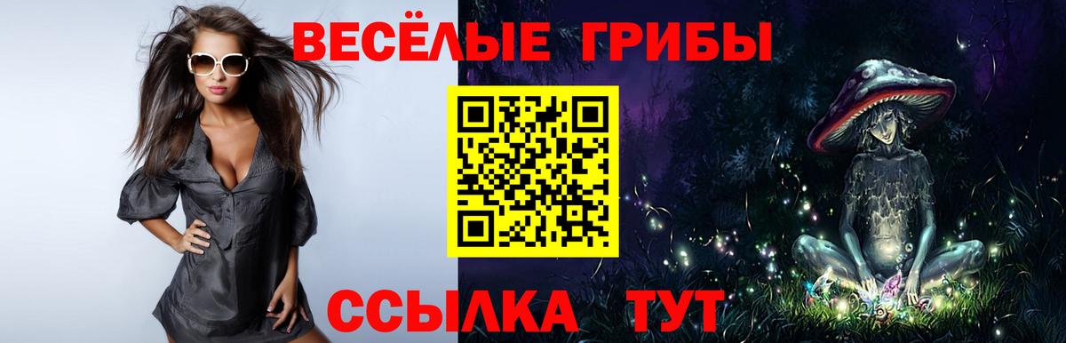 Галлюциногенные грибы GOLDEN TEACHER Боровичи